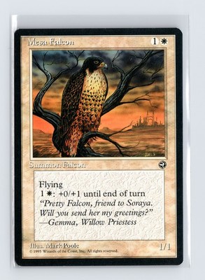 Vintage MTG 1995 Homelands #10 Mesa Falcon - Black Border