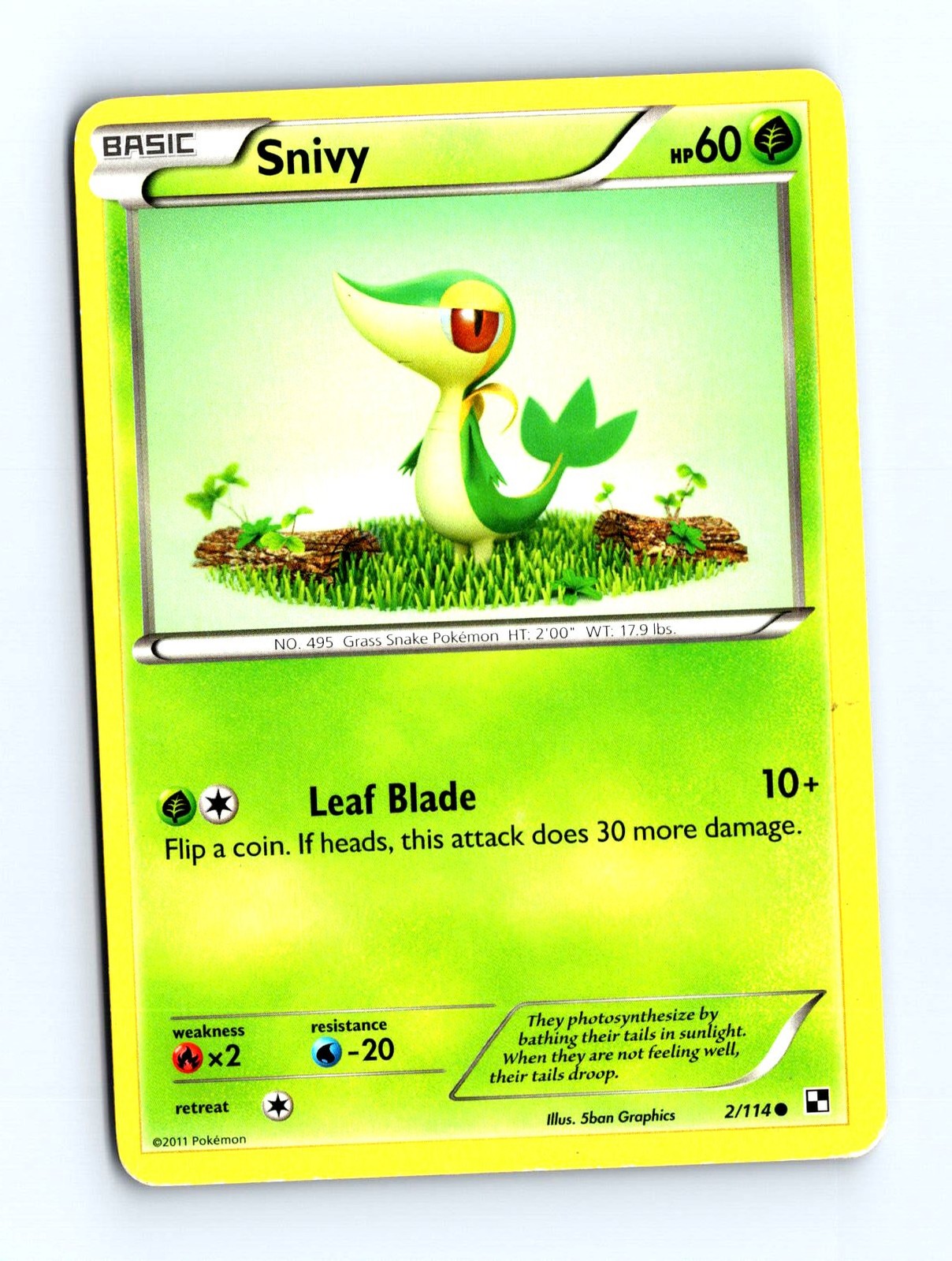 Pokemon Black and White Snivy 2/114 Common Trading Card