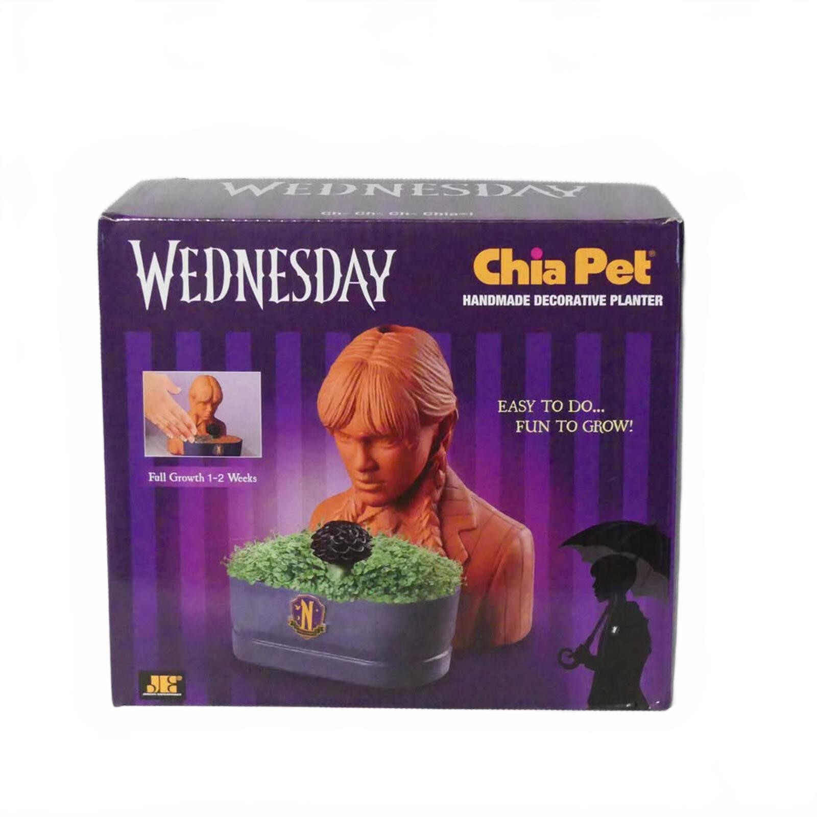 Wednesday Chia Pet Handmade Decorative Planter in Original Box