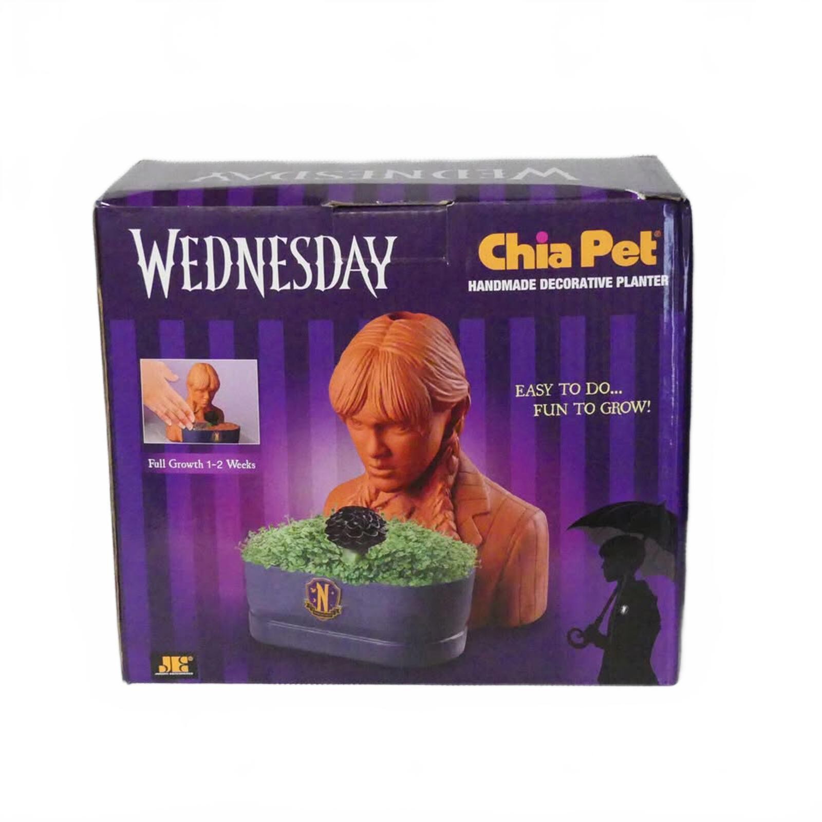 Wednesday Chia Pet Handmade Decorative Planter in Original Box - Image 3