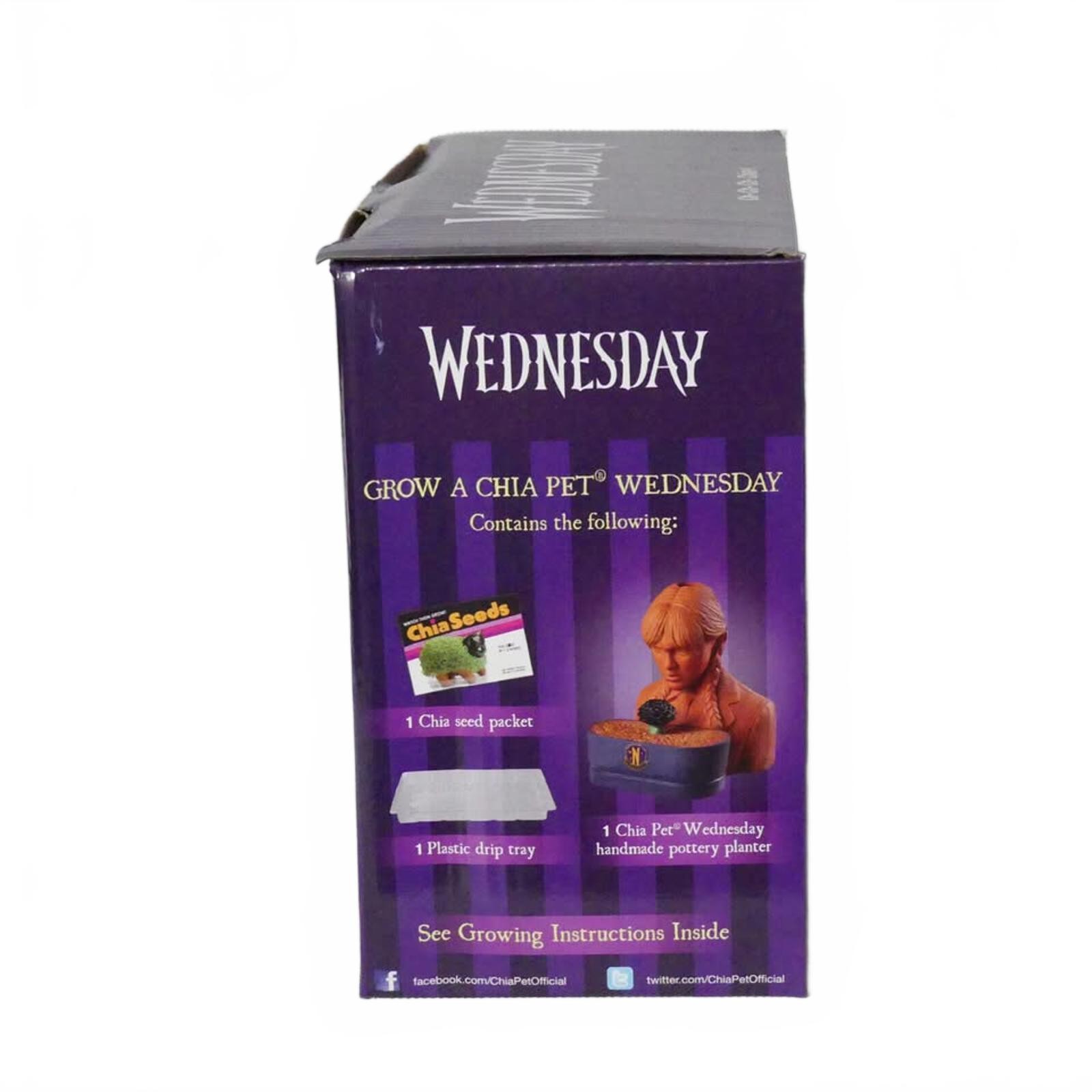 Wednesday Chia Pet Handmade Decorative Planter in Original Box - Image 4