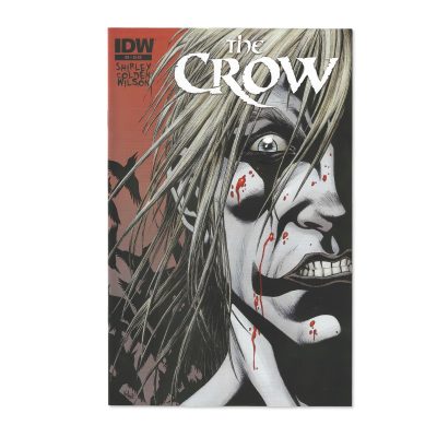 The Crow Death Rebirth 3 IDW Publishing Comic Book Shirley Wilson Kevin Colden